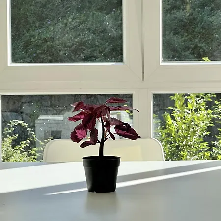 Apartment Front I